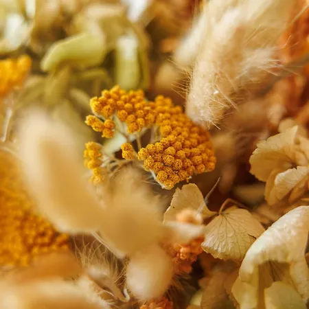 Antichi Casali Di Charme