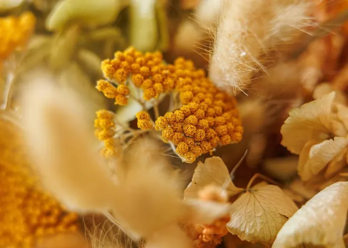 Antichi Casali Di Charme